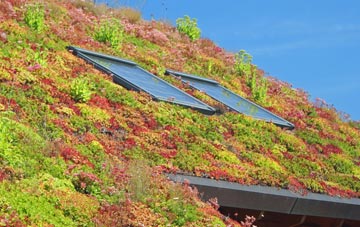 Great Clacton living roof systems