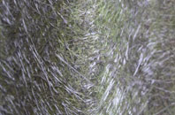 Great Clacton fibreglass roof work